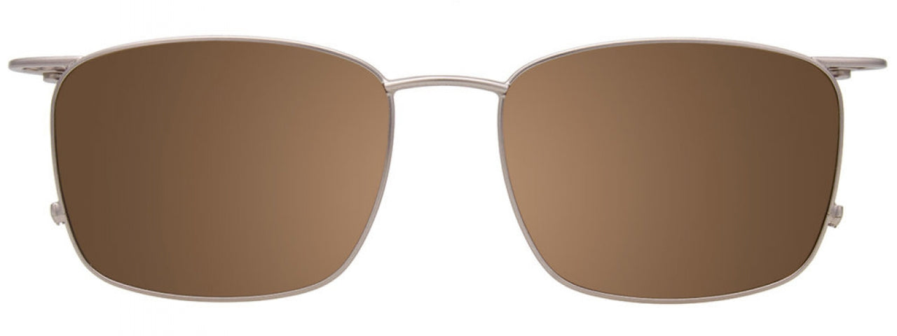 10 - Brown Tortoise