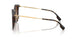 300213 - Havana - Brown Gradient