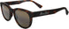 10 - Matte Dark Havana - Hcl Bronze