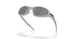 953610 - Silver - Prizm Black Polarized