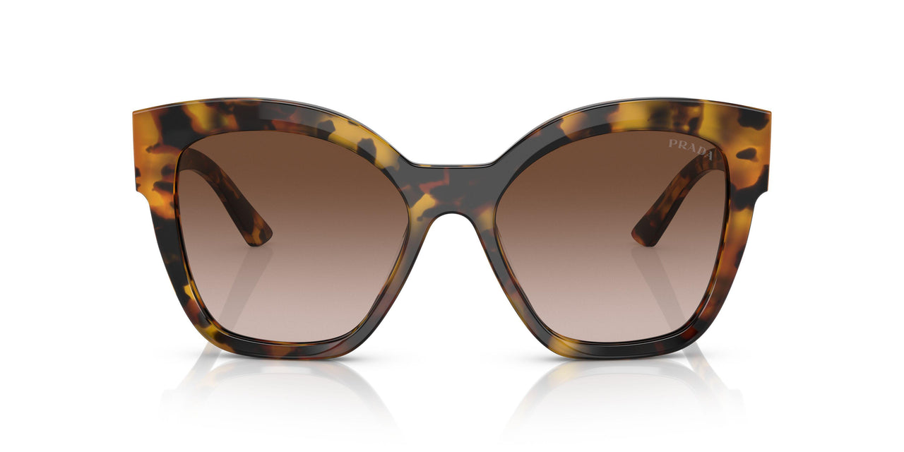 VAU6S1 - Havana - Brown Gradient