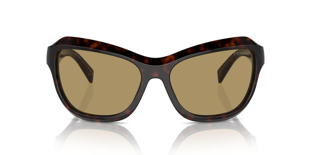 17N70G - Tortoise - Green Olive