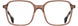 STATE Optical Co. GERMANIA Eyeglasses