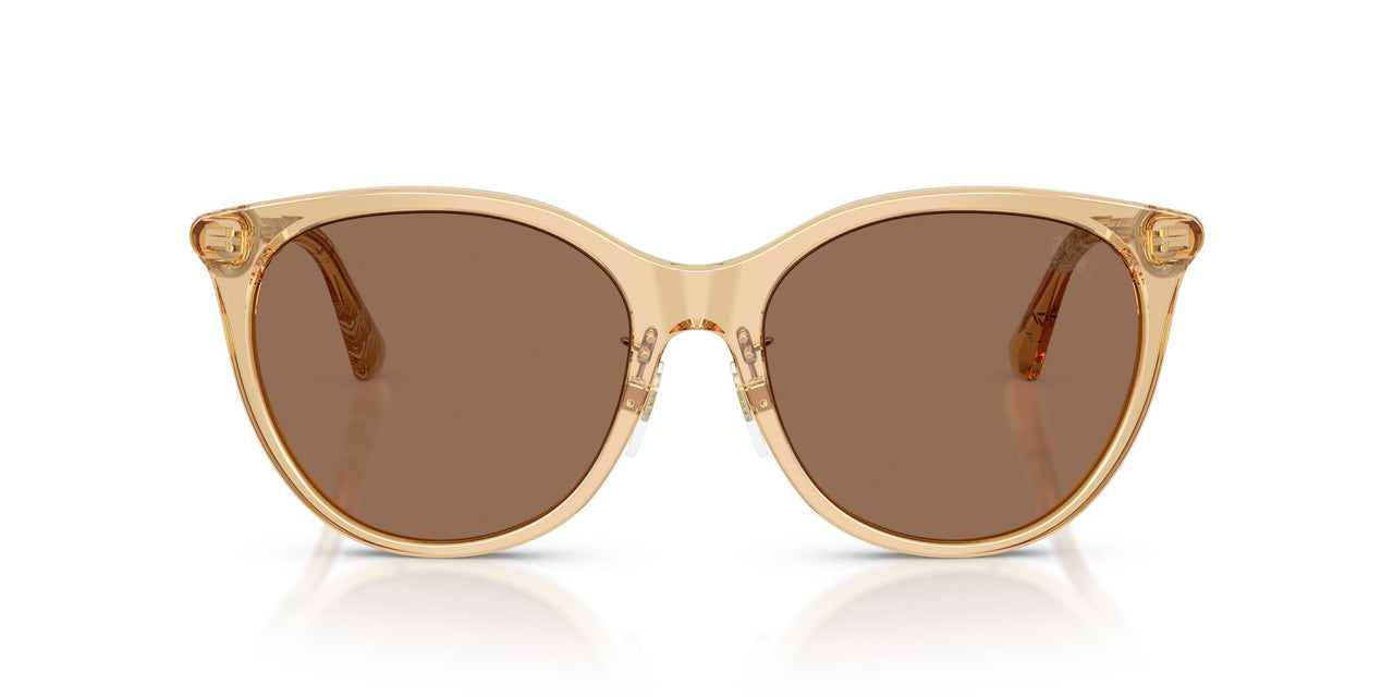 416773 - Beige - Dark Brown