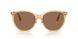 416773 - Beige - Dark Brown