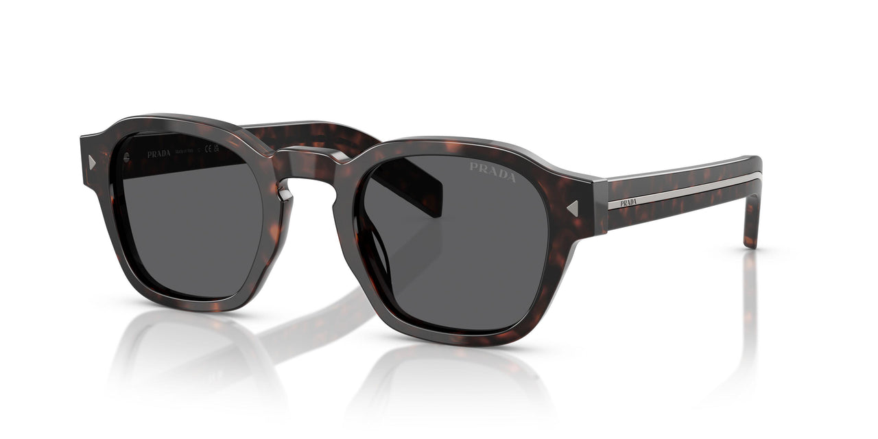 17N731 - Tortoise - Dark Grey