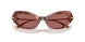 344469 - Tortoise - Dark Violet