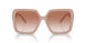 836713 - Pink - Pink Gradient