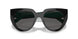 1AB5Z1 - Black - Dark Grey Polar