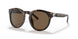 500373 - Havana - Dark Brown