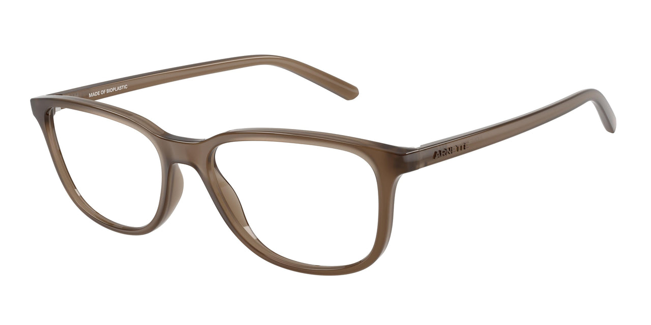 2997 - Brown