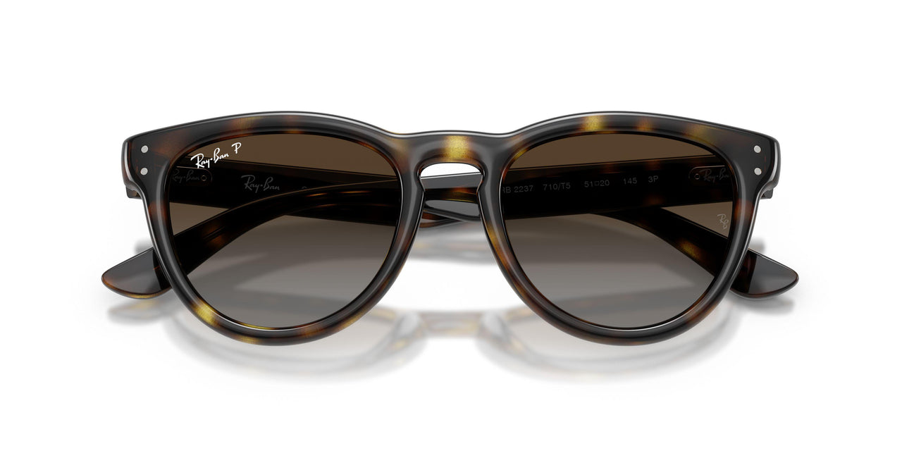 710/T5 - Tortoise - Polarized Light Grey Gradient Brown
