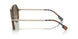300273 - Havana - Dark Brown