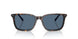 500380 - Tortoise - Dark Blue