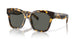 201603 - Tortoise - Gray