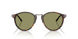640353 - Tortoise - Green