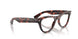 8118 - Tortoise - Clear
