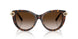 80153B - Tortoise - Brown Gradient