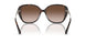 300613 - Tortoise - Brown Gradient