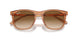 676451 - Brown - Clear & Brown