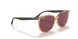 66025Q - Brown - Purple Polar