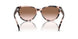 605813 - Pink - Gradient Brown