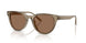 505173 - Brown - Dark Brown