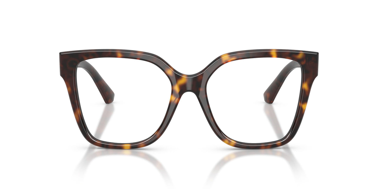 3002 - Brown