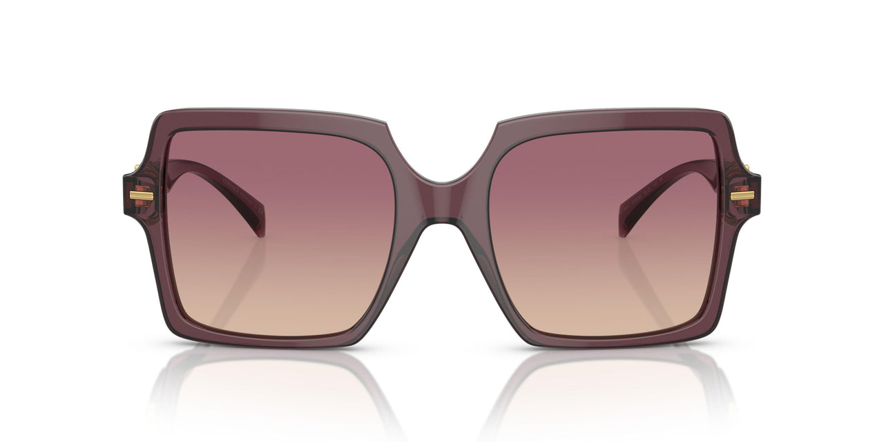 520968 - Violet - Brown Gradient Violet