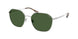 Polo 3160 Sunglasses