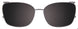 80 - Brown Tortoise