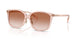 566813 - Pink - Brown Pink Gradient