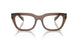 17O1O1 - Brown