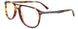 10 - Demi Amber & Satin Steel
