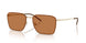 301373 - Gold - Brown