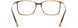 6131 - brown