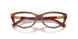 8440 - Tortoise