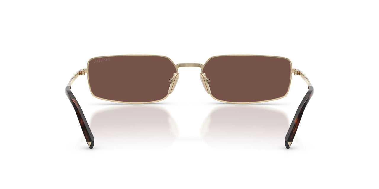 ZVN80T - Gold - Black Chocolate