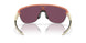 924813 - Brown - Prizm Black