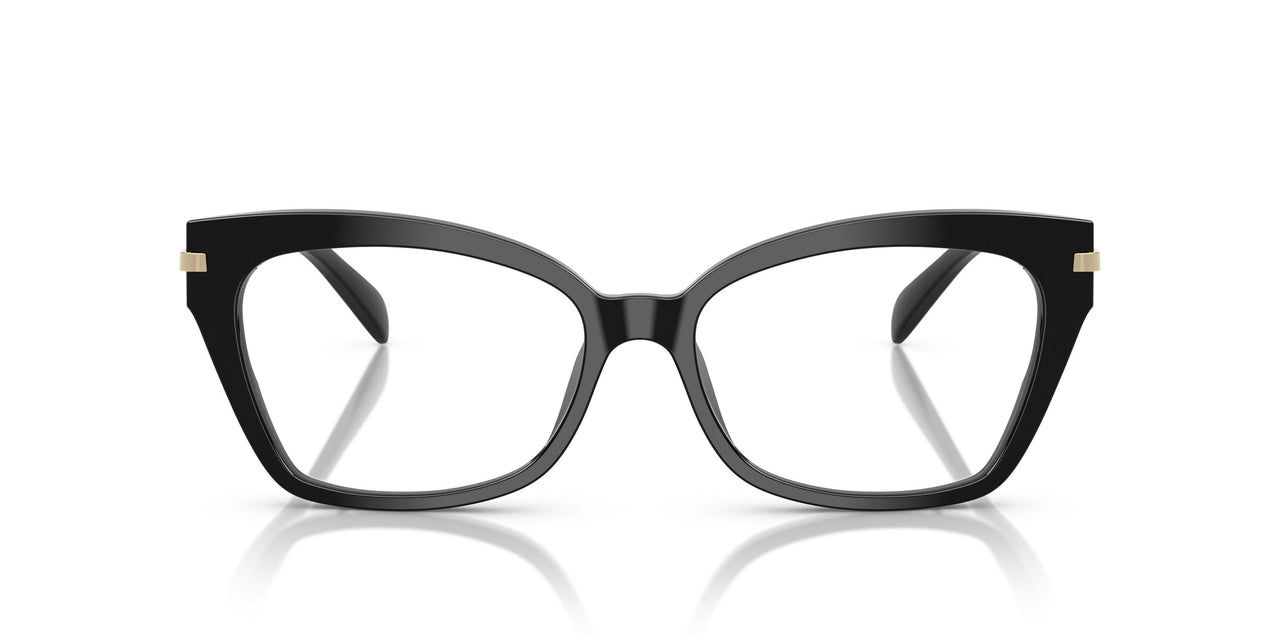 3005 - Black