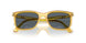 204/R5 - Yellow - Blue