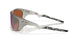 943107 - Grey - Prizm Shallow Water Polarized
