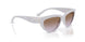 319368 - Violet - Violet Gradient Brown