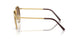 001/51 - Gold - Light Brown