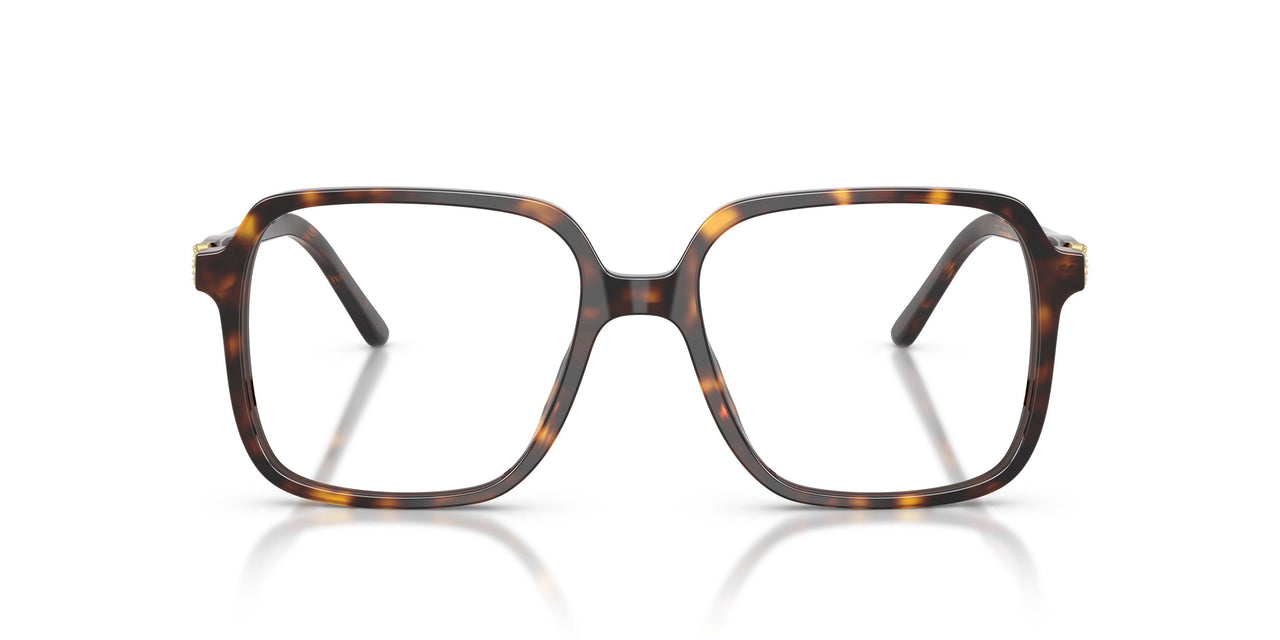 C653 - Tortoise