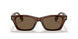 398673 - Brown - Dark Brown