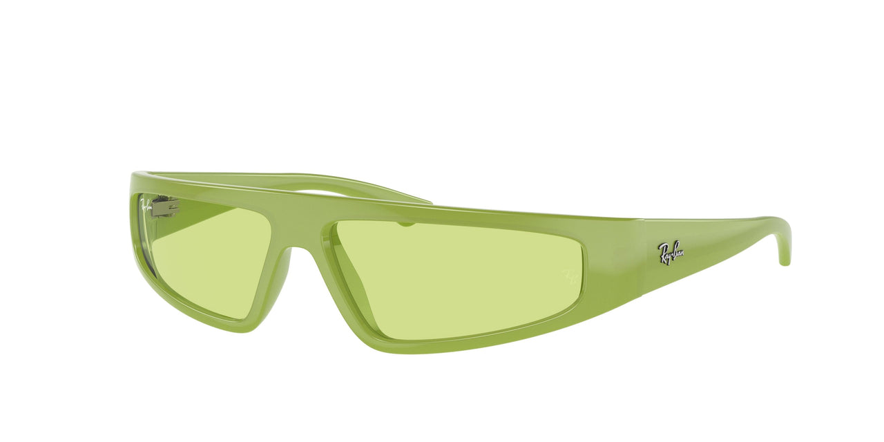 Ray-Ban Izaz 4432 Sunglasses