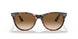 12934E - Light Havana On Trasp Yellow - Bottle Green