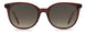 009Q-HA - Brown - Brown Gradient
