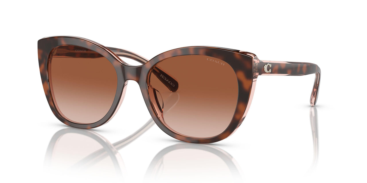 574413 - Tortoise - Brown Pink Gradient